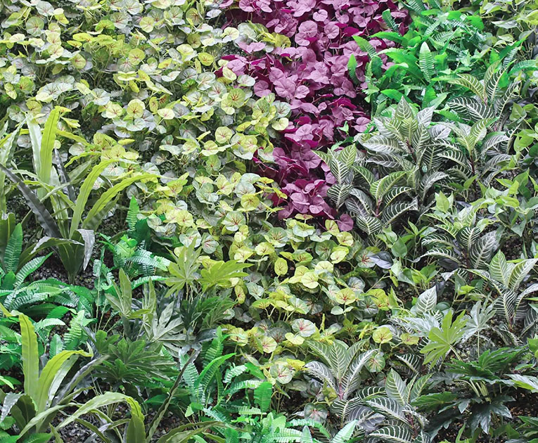 寧波諾緣生態建設有限公司